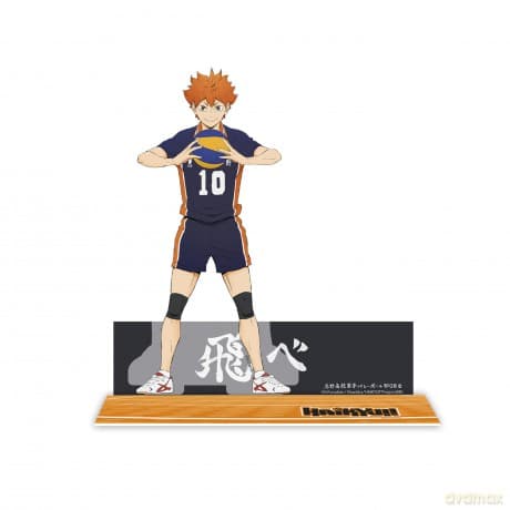 HAIKYU!! - Acryl - Hinata