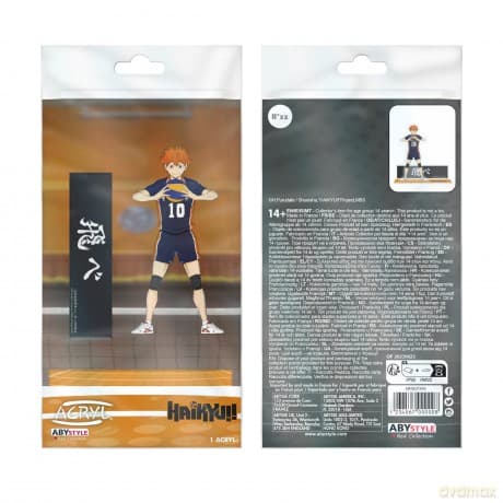 HAIKYU!! - Acryl - Hinata