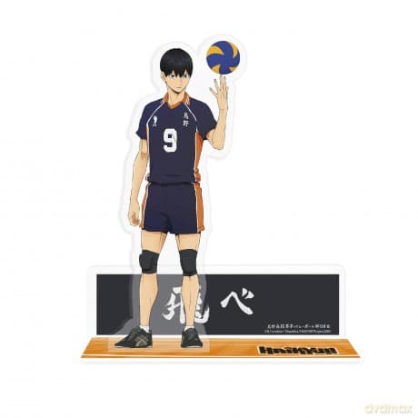 HAIKYU!! - Acryl - Kageyama