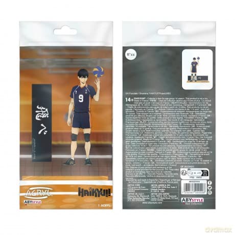 HAIKYU!! - Acryl - Kageyama