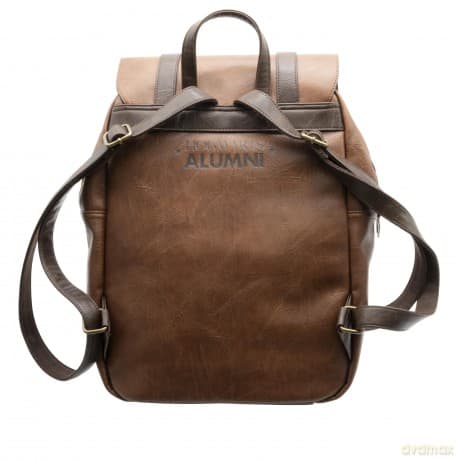 HARRY POTTER - Premium Backpack Hogwarts