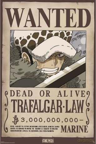 ONE PIECE - Poster Maxi 91.5x61 - Wanted Law Wano