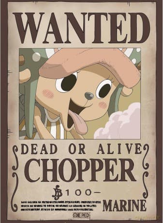 ONE PIECE - Set 2 Posters Chibi 52x38 - Wanted Chopper & Brook