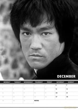Bruce Lee: 2025 Calendar [KALENDARZ]