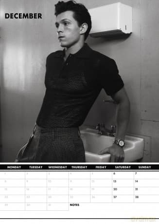 Tom Holland: 2025 Calendar [KALENDARZ]