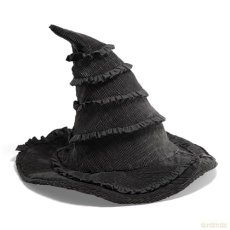Wicked: Elphaba'S Hat
