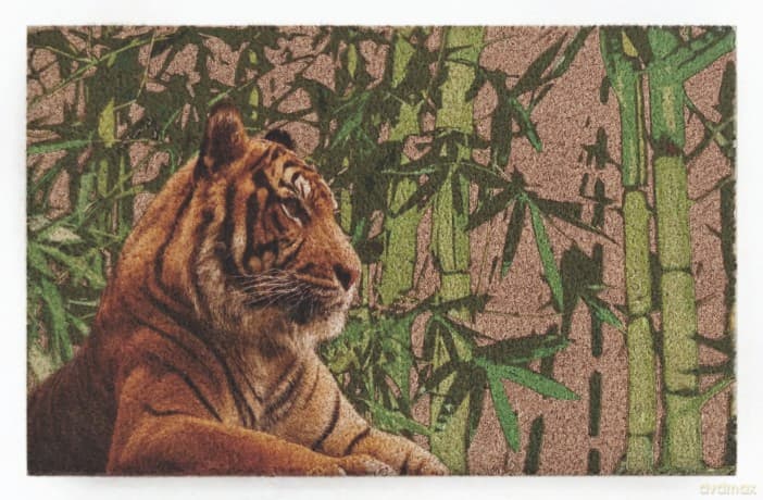 Wycieraczka Tygrys 40 x 60 CM