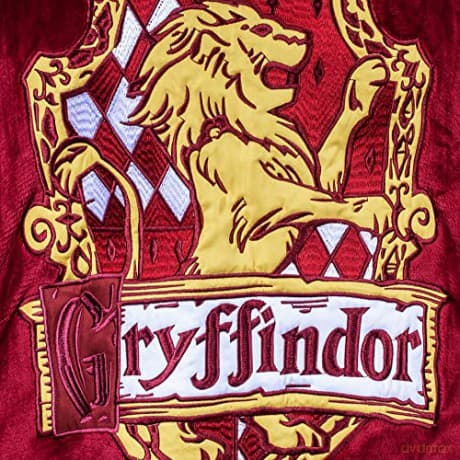 Harry Potter kocobluza Gryffindor / Harry Potter: Gryffindor Oversized Hoodie Blanket