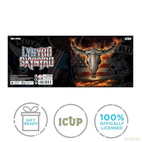 Lynyrd Skynyrd: Lynryd Skynyrd Pint Glasses Set (4 Pack / 16Oz)