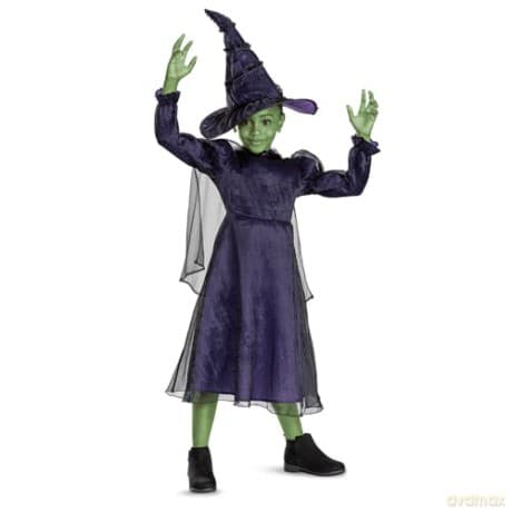 Disguise Wicked (Nbc Universal) Elphaba Deluxe (Eu)