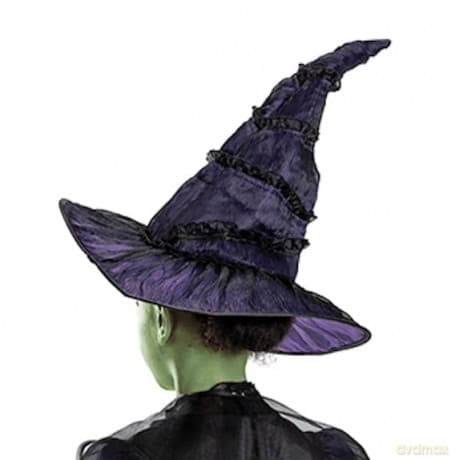 Disguise Wicked (Nbc Universal) Elphaba Deluxe (Eu)