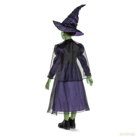 Disguise Wicked (Nbc Universal) Elphaba Deluxe (Eu)