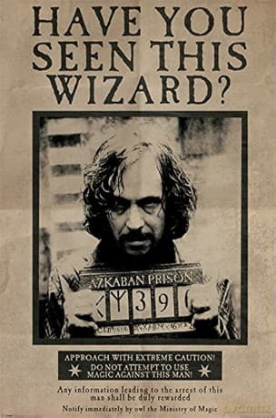 Harry Potter, Maxi Poster "Wanted Sirius Black", Multicolore.