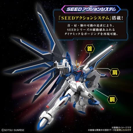 High Grade Gundam Rising Freedom STTS-909 1/144