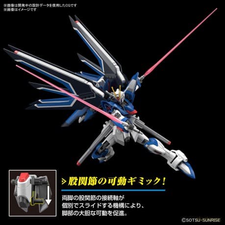 High Grade Gundam Rising Freedom STTS-909 1/144