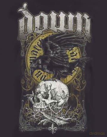 Down: Men's Tee: Swamp Skull (XX-Large)