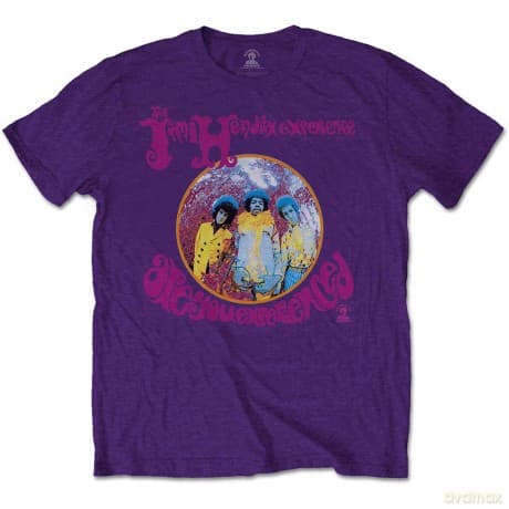 T: Jimi Hendrix Unisex T-Shirt: Are You Experienced (Purple) (Medium)