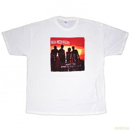 The Libertines: Men's Tee: Anthems for Doomed Youth (Small)
