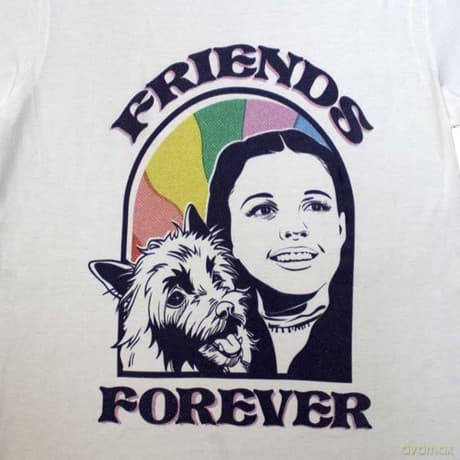 Wizard Of Oz - The: The Wizard of Oz Unisex T-Shirt: Friends Forever (White) (Large)