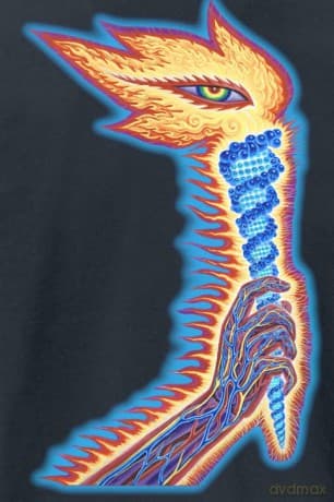 Tool: Unisex T-Shirt: The Torch (Black) (Back & Sleeve Print) (Small)