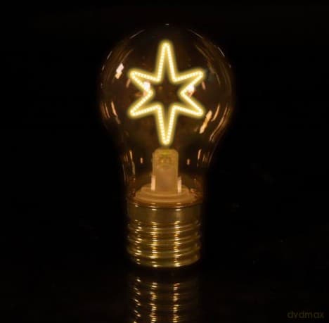 Unicorn Academy LED Bulb Lights Assortment (12)