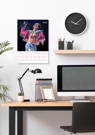 Harry Styles: Harry Styles 2026 Unofficial Calendar [KALENDARZ]