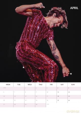 Harry Styles: Harry Styles 2026 Unofficial Calendar [KALENDARZ]
