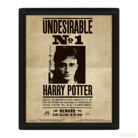 Harry Potter: Potter Sirius Wall Art