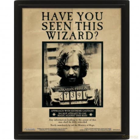 Harry Potter: Potter Sirius Wall Art