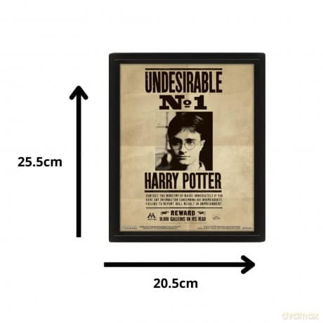 Harry Potter: Potter Sirius Wall Art