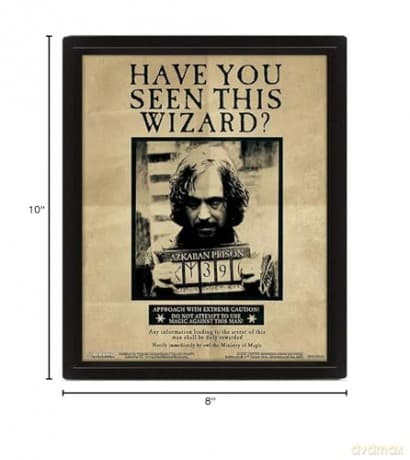 Harry Potter: Potter Sirius Wall Art