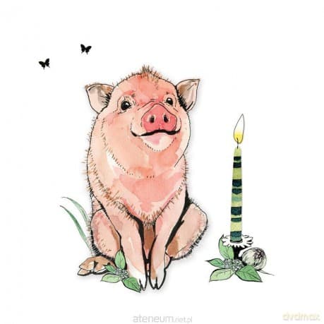 Karnet Swarovski kwadrat CL1222 Świnka