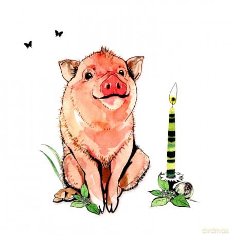 Karnet Swarovski kwadrat CL1222 Świnka