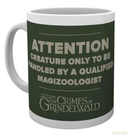 Fantastic Beasts: The Crime Of Grindelwald: Attention Kubek