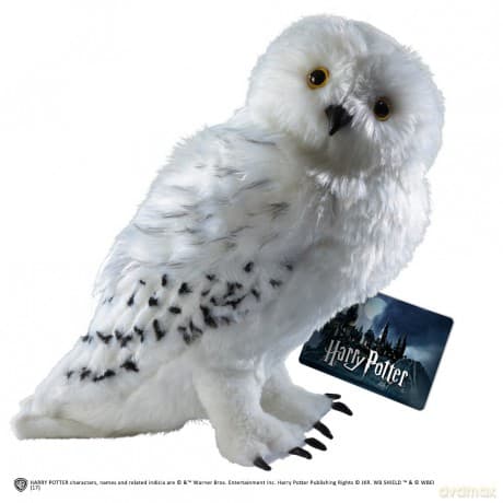 Harry Potter: Hedwig