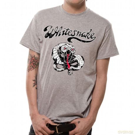 Vintage Snake, Grey, Men's (XL) [T-Shirt]