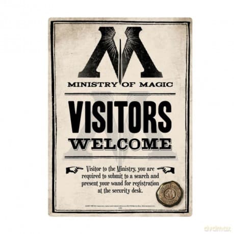 Harry Potter: Ministry of Magic Przypinka